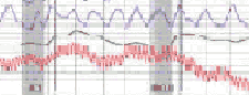 Sonoma County lie detector expert